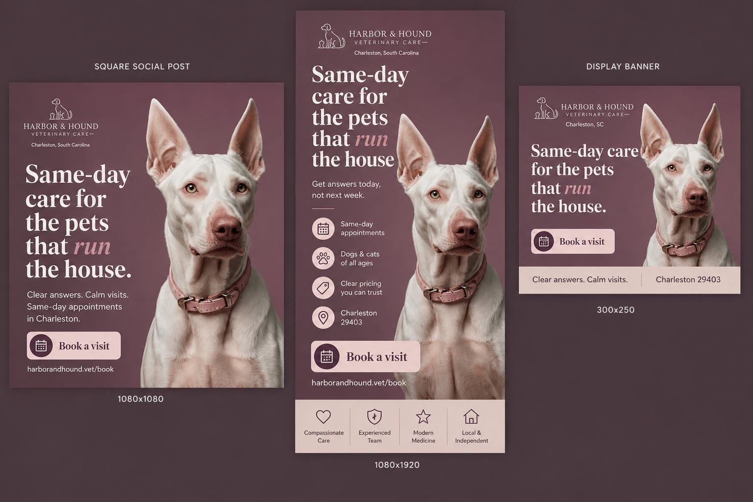 Harbor & Hound sample digital ad set