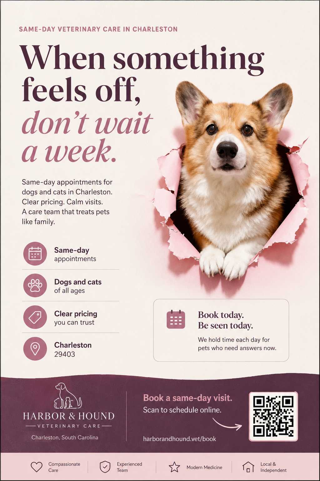 Harbor & Hound sample print ad for same-day veterinary care
